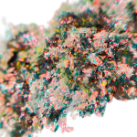 Pigment fulgi nr. 003 - 0.2 gr.